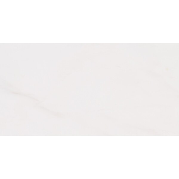 Msi Bianco Dolomite Bevelled SAMPLE Polished Marble Floor And Wall Tile ZOR-NS-0045-SAM - main